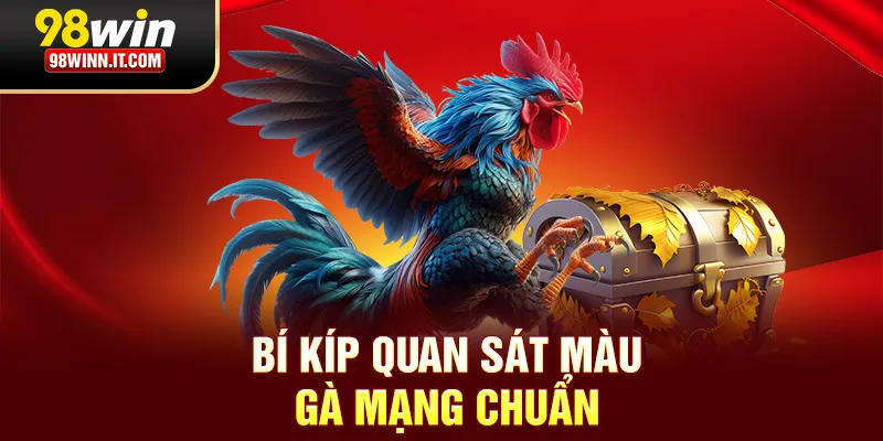 B&iacute; k&iacute;p quan s&aacute;t m&agrave;u g&agrave; mạng chuẩn