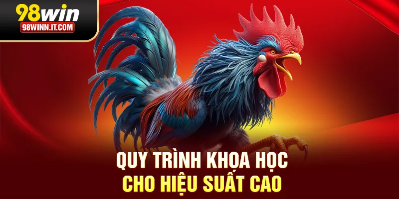 Quy trình khoa học cho hiệu suất cao