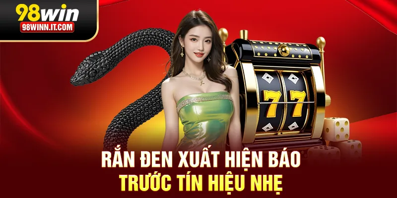 Rắn đen xuất hiện b&aacute;o trước t&iacute;n hiệu nhẹ