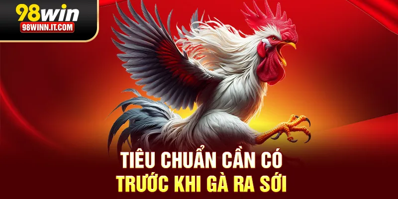 Ti&ecirc;u chuẩn cần c&oacute; trước khi g&agrave; ra sới